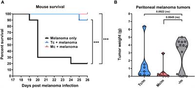 Suppression of the growth and metastasis of mouse melanoma by Taenia crassiceps and Mesocestoides corti tapeworms